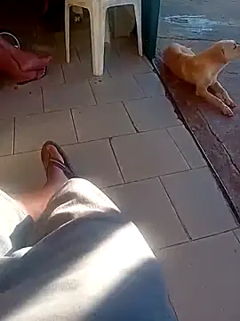 negrim10 online show from April 18, 2026, 8:20 pm