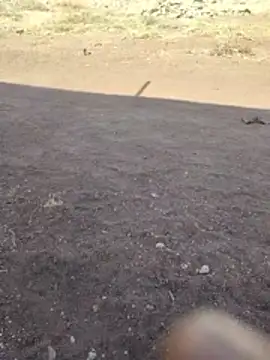 PrivateMeetX online show from April 26, 2026, 3:59 am