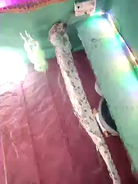 bhavna pandit online show from April 17, 2026, 11:40 pm