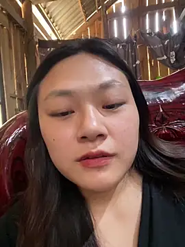 bikhidj online show from April 11, 2026, 5:26 am