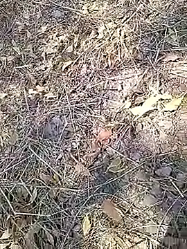 Cute Boy 4 online show from April 16, 2026, 7:53 am