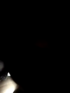 tamilpaiyan989 online show from April 17, 2026, 4:43 pm