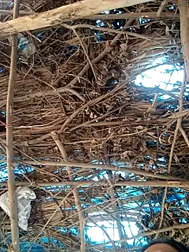 Rajni248096 online show from March 12, 2026, 7:56 am