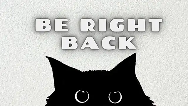  Mostly  online show from February 24, 2026, 7:42 am