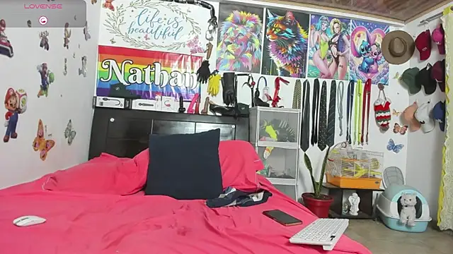 Snapshot of nathannathaniel chatting on February 14, 2026, 5:40 am nathannathaniel online show from February 14, 2026, 5:40 am