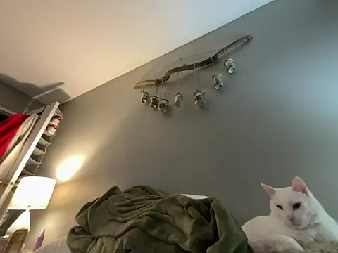 Snapshot of Sexysanka chatting on February 5, 2026, 1:01 am Sexysanka online show from February 5, 2026, 1:01 am