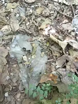 kalai 32 online show from February 4, 2026, 6:19 am