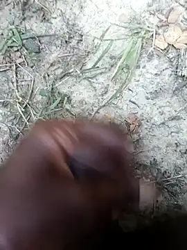 kalai 32 online show from February 3, 2026, 6:40 am