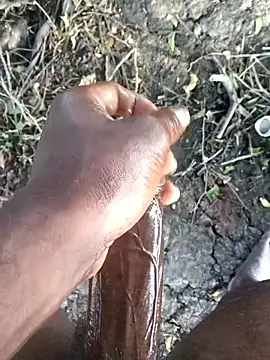 kalai 32 online show from February 13, 2026, 2:55 am