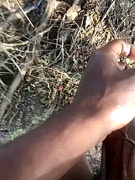 kalai 32 online show from February 12, 2026, 2:22 am