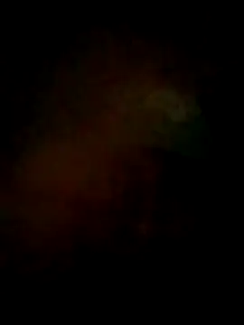 S7LEALTADPERVLIMA7 online show from June 2, 2026, 10:04 am