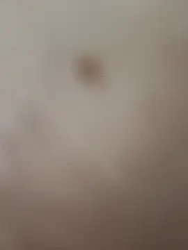 elvergon8721 online show from February 20, 2026, 5:26 am