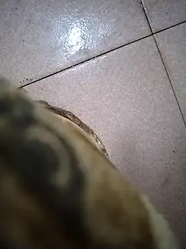 the sayem fuckboy online show from March 11, 2026, 10:04 pm