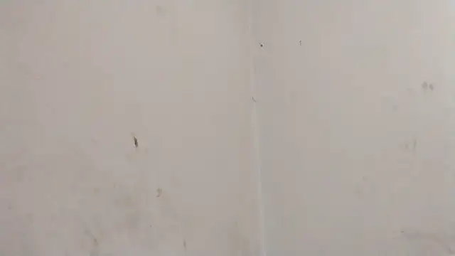 MisterSnowww online show from March 6, 2026, 9:54 pm