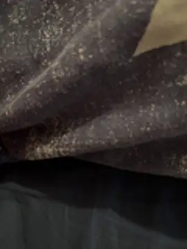 Enzo 2763 online show from February 25, 2026, 7:58 pm