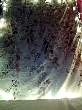 Kathy19  online show from February 5, 2026, 12:17 am