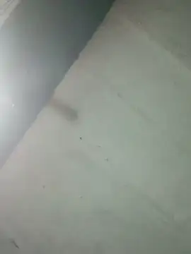 Snapshot of Hot_ras28 chatting on February 20, 2026, 9:28 pm Hot ras28 online show from February 20, 2026, 9:28 pm