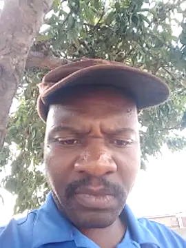 Sbuda3159 online show from February 11, 2026, 2:39 pm