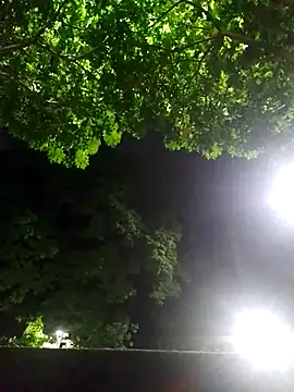 Andres sant  online show from April 18, 2026, 6:16 am