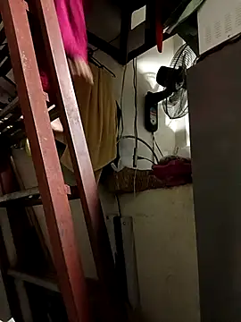 Snapshot of Wildcam21 chatting on February 15, 2026, 5:19 am Wildcam21 online show from February 15, 2026, 5:19 am