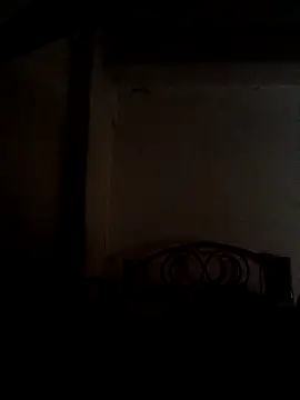 Snapshot of Wildcam21 chatting on February 17, 2026, 9:12 pm Wildcam21 online show from February 17, 2026, 9:12 pm