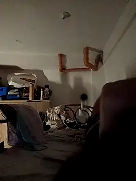 Snapshot of Wildcam21 chatting on February 19, 2026, 5:21 pm Wildcam21 online show from February 19, 2026, 5:21 pm