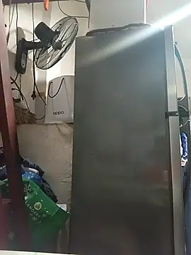 Snapshot of Wildcam21 chatting on March 3, 2026, 11:17 am Wildcam21 online show from March 3, 2026, 11:17 am