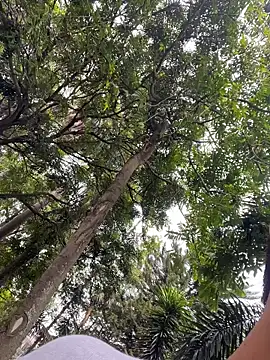 Gael Velaryx online show from April 10, 2026, 3:30 pm