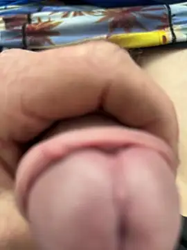 enormebitedu31 online show from April 2, 2026, 7:59 am