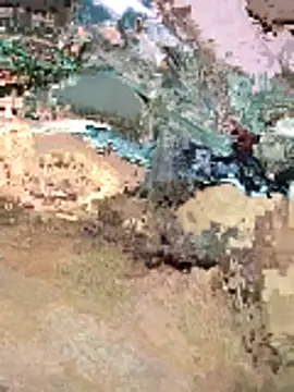 amushabbar69 online show from February 6, 2026, 8:54 am