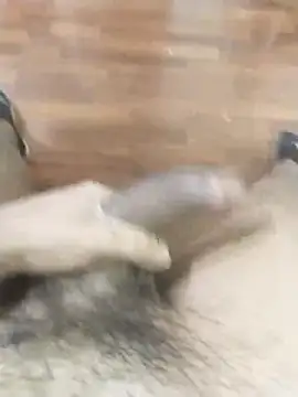 fabioveirolia online show from April 17, 2026, 6:16 am