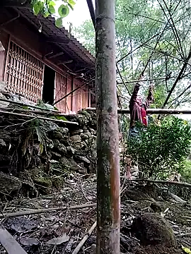 lovely-742 online show from April 15, 2026, 2:28 am