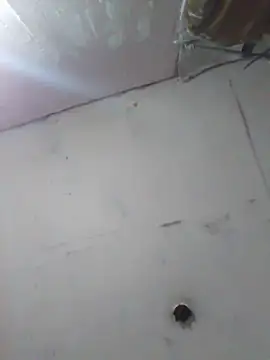 cobrosdepagos online show from April 11, 2026, 4:20 am