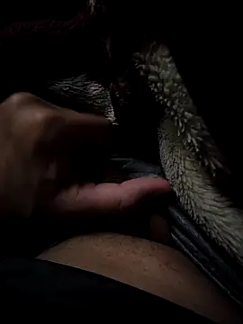 Snapshot of MoMnsi chatting on February 25, 2026, 6:02 am MoMnsi online show from February 25, 2026, 6:02 am