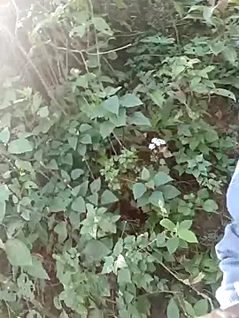 nelina 12345 online show from April 8, 2026, 2:35 am