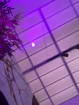 TREINY EC online show from February 18, 2026, 1:29 pm