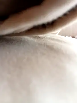 Luigi966 online show from March 27, 2026, 6:42 pm