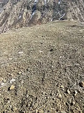 Snapshot of TurkeyMen chatting on March 3, 2026, 10:11 am TurkeyMen online show from March 3, 2026, 10:11 am