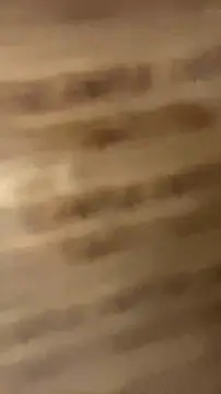 walterktm online show from April 8, 2026, 2:35 am