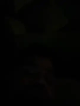 king181869 online show from March 23, 2026, 7:14 pm