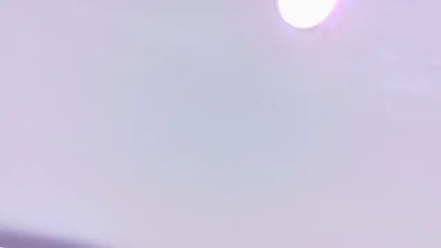 nina bae online show from April 18, 2026, 7:18 pm