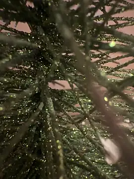 sexysou online show from April 15, 2026, 11:49 am