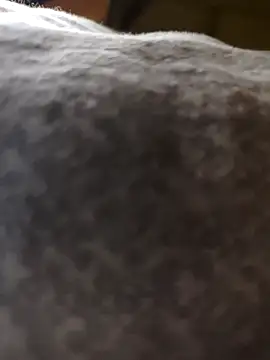 mrsdevika online show from April 17, 2026, 8:33 pm