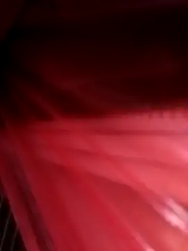 hd love69 online show from April 3, 2026, 11:11 pm