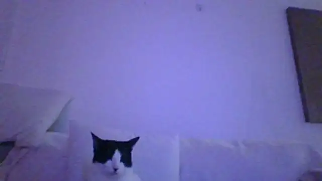Snapshot of kinkykara25 chatting on April 29, 2026, 9:10 pm kinkykara25 online show from April 29, 2026, 9:10 pm