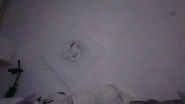 kinkykara25 online show from April 20, 2026, 2:03 am