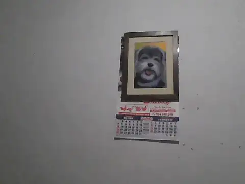 DIEGOLUIS2026 online show from March 6, 2026, 3:56 am