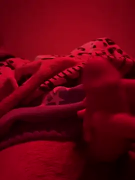 689Nika online show from April 20, 2026, 1:56 pm