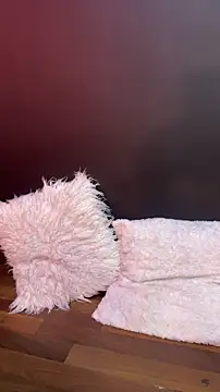   CELESTE   online show from March 10, 2026, 7:56 am