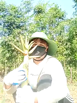 lyly sexx online show from April 8, 2026, 2:13 am